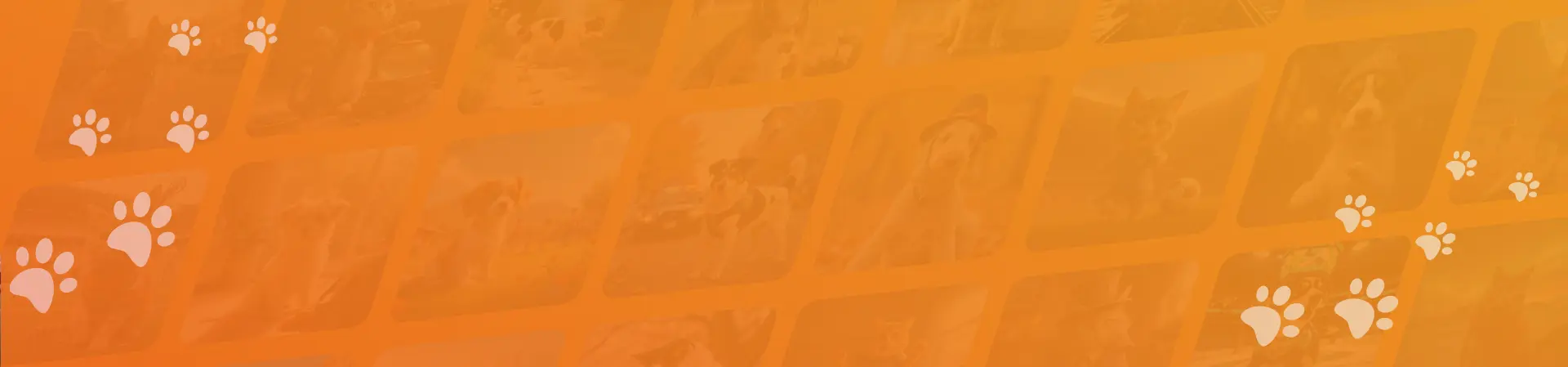 Free Trial Background